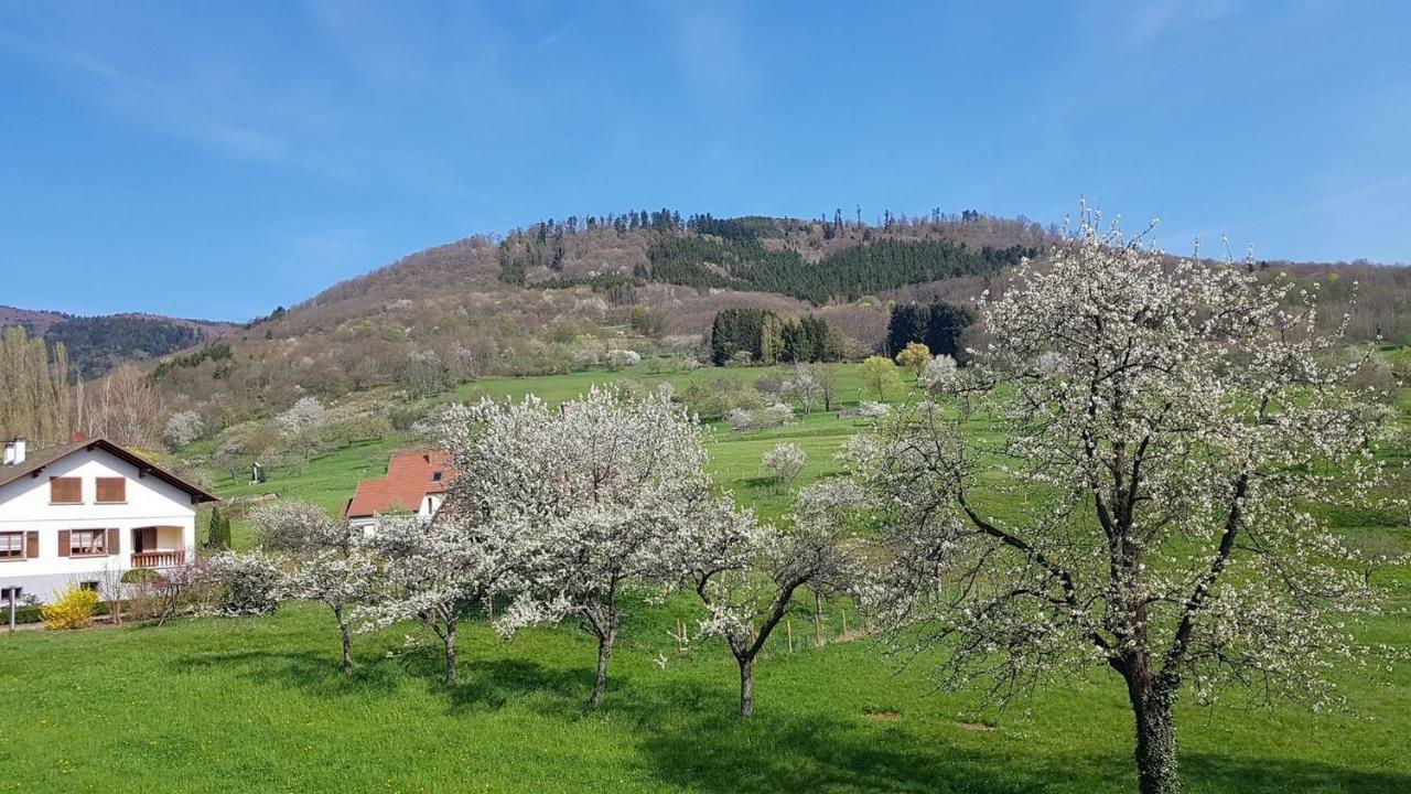 Le Breit Maison De Charme Avec Sa Dependance Breitenbach Εξωτερικό φωτογραφία